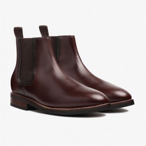 Thursday Boots Duke Chelsea Stiefel Herren Braun | SPU5413EO