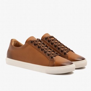 Thursday Boots Premier Niedrige Sneaker Damen Toffee | NDV2968HM