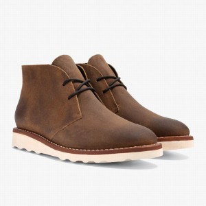 Thursday Boots Scout Chukkastiefel Herren Safari | FGP6565AE