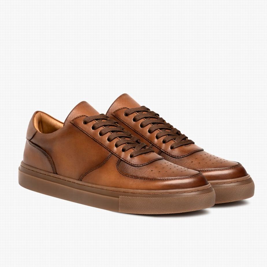 Thursday Boots Court Niedrige Sneaker Herren Toffee | OCG3782IN