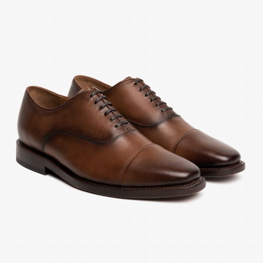 Thursday Boots Executive Abendschuhe Herren Brandy | LXK4399XZ