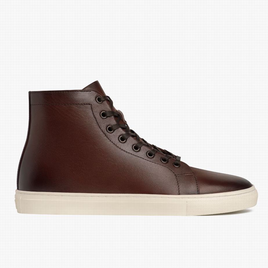 Thursday Boots Premier Hohe Sneaker Herren Kaffee | HXB2311NQ