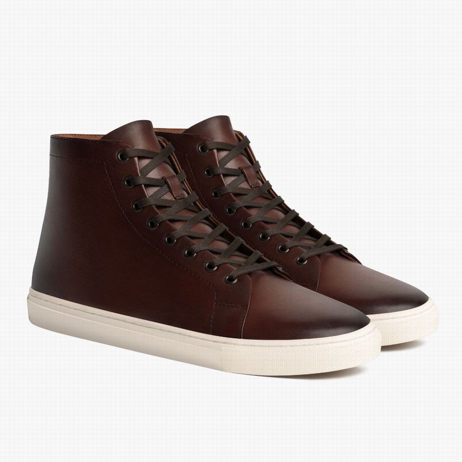 Thursday Boots Premier Hohe Sneaker Herren Kaffee | HXB2311NQ