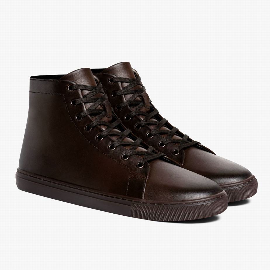 Thursday Boots Premier Hohe Sneaker Herren Old English | GMM1024LK