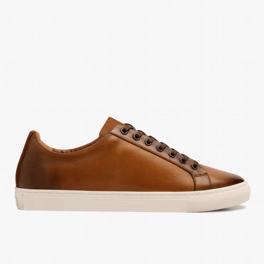 Thursday Boots Premier Niedrige Sneaker Herren Toffee | XYS4437IJ