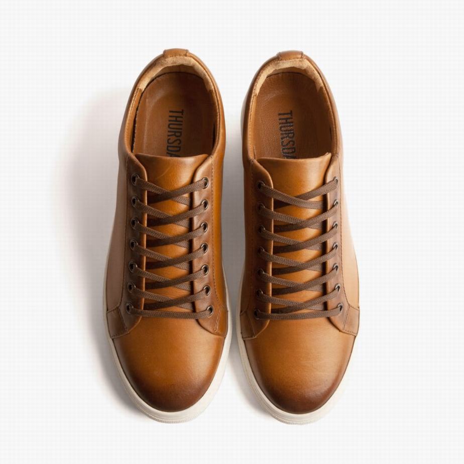 Thursday Boots Premier Niedrige Sneaker Herren Toffee | XYS4437IJ