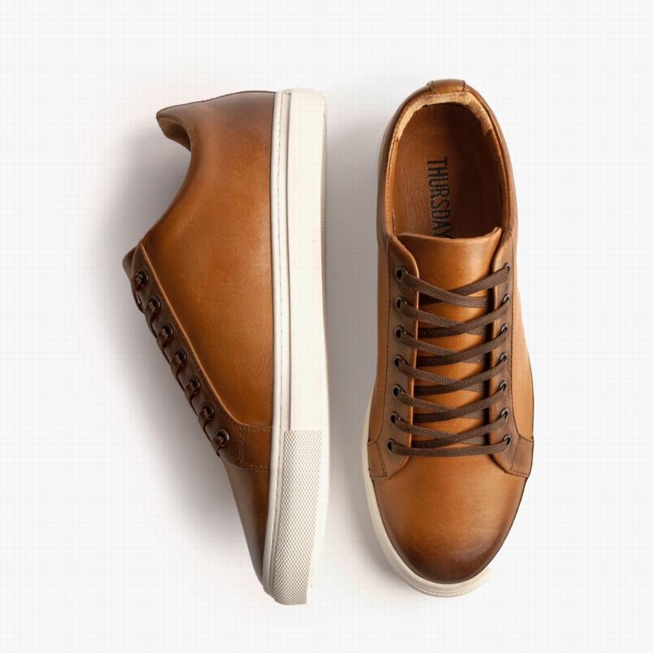 Thursday Boots Premier Niedrige Sneaker Herren Toffee | XYS4437IJ