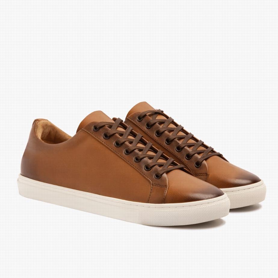 Thursday Boots Premier Niedrige Sneaker Herren Toffee | XYS4437IJ