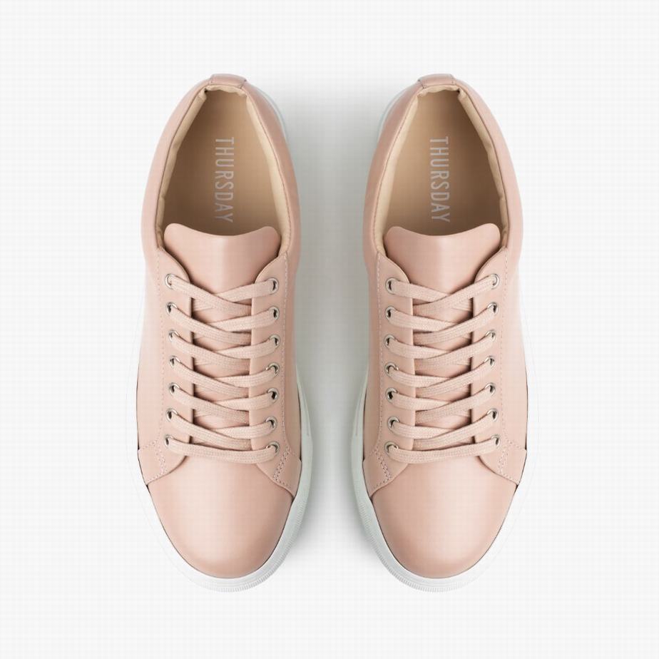 Thursday Boots Premier Niedrige Sneaker Damen Rosa | QKD2593BG