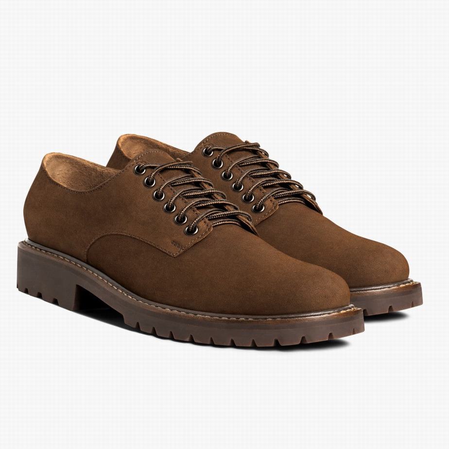 Thursday Boots Renegade Abendschuhe Herren Braun | ZMO8136FI