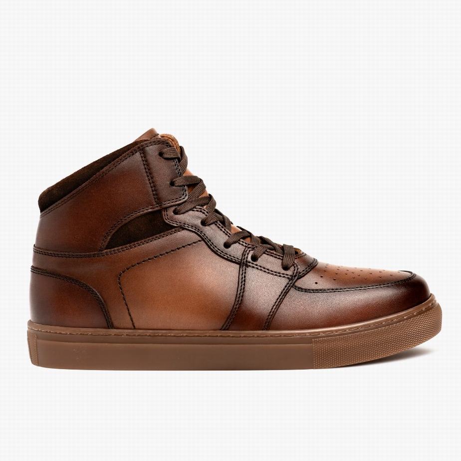 Thursday Boots Showtime Hohe Sneaker Herren Brandy | ZWP9210FV