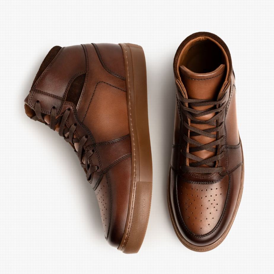 Thursday Boots Showtime Hohe Sneaker Herren Brandy | ZWP9210FV